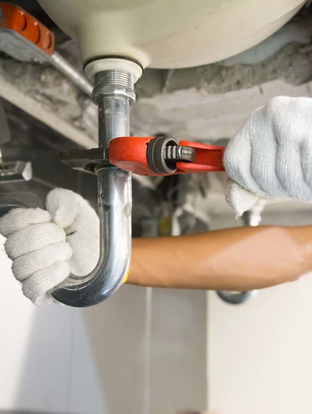Plumbing Maintenance Hamilton